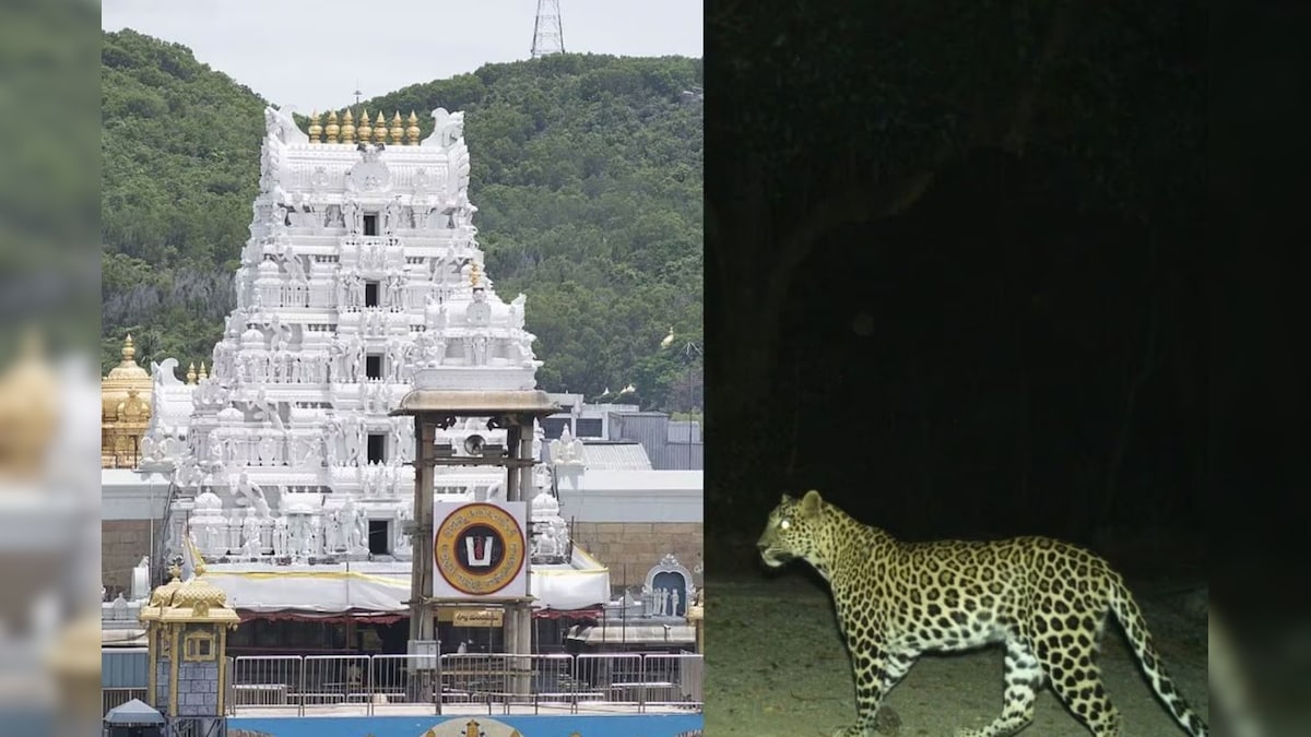 திருப்பதி மலையில் சிறுத்தை நடமாட்டம் உறுதி.. சிறுத்தையை விரட்டும் பணியில் வனத்துறை தீவிரம்!