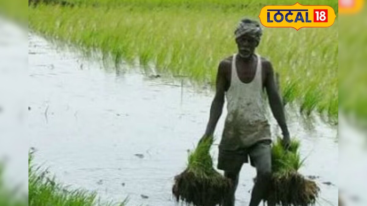 நாமக்கல் விவசாயிகளுக்கு முக்கிய அறிவிப்பு... 25ஆம் தேதி குறைதீர்ப்பு கூட்டம்... - News18 தமிழ்