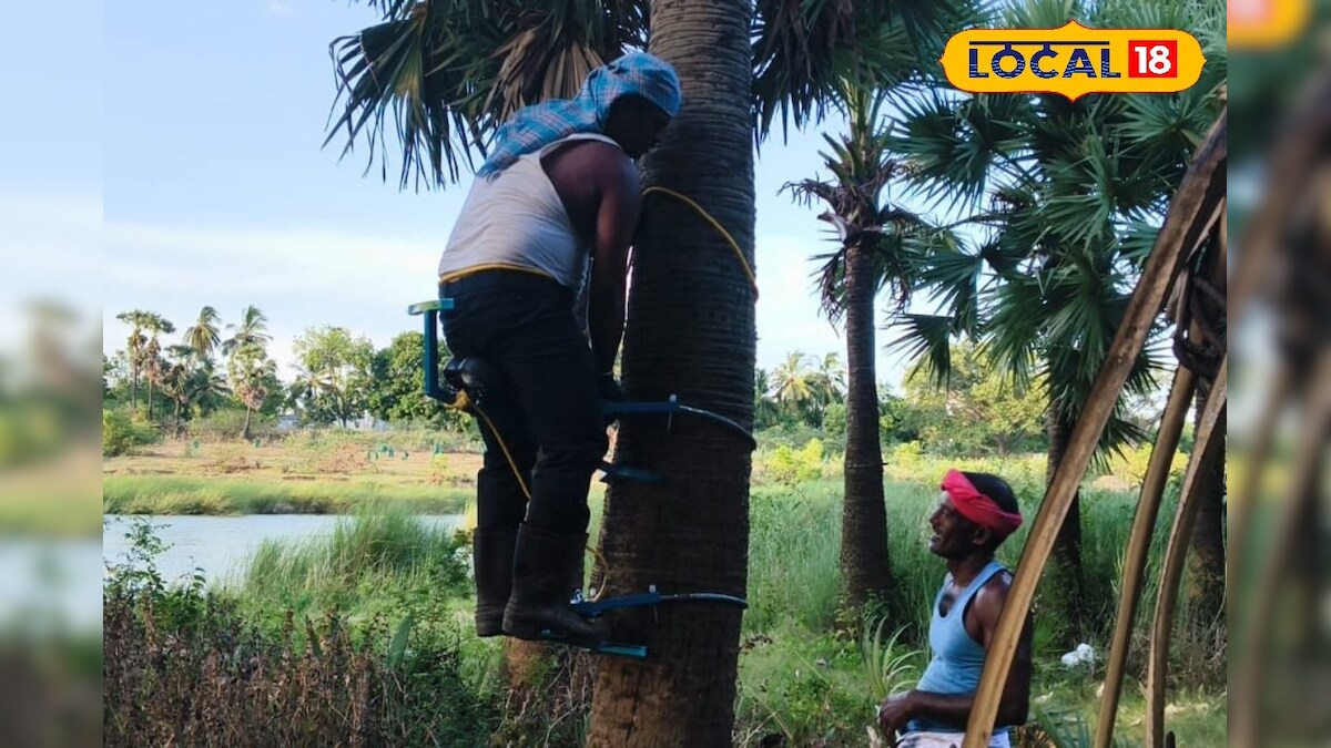 மரங்களை பதிவு செஞ்சு இருக்கோம்... ஆக்ஷனில் இறங்கிய இயற்கை ஆர்வலர்கள்..!! - News18 தமிழ்