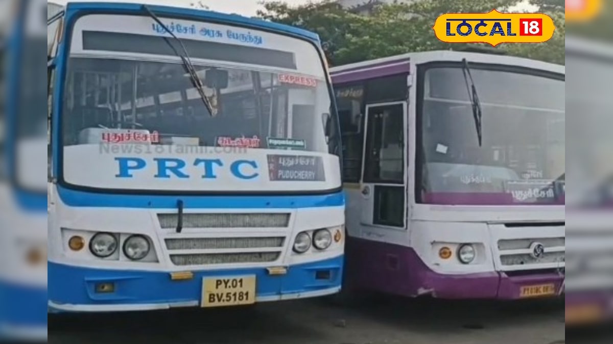 திருச்செந்தூர் கோவில் கும்பாபிஷேகம்.. புதுச்சேரியில் இருந்து சிறப்பு பேருந்துகள் இயக்கம்.! - News18 தமிழ்