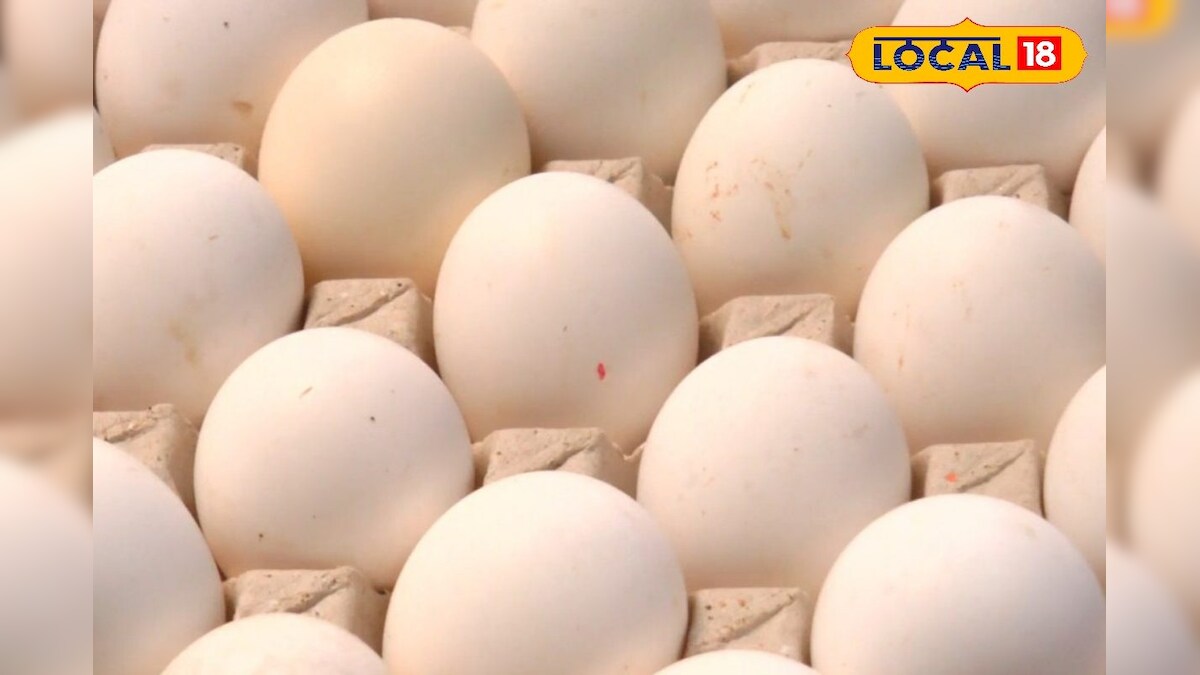 கிடுகிடுவென சரிந்த முட்டை விலை... நாமக்கல்லில் நிலவரம் என்ன தெரியுமா..? - News18 தமிழ்