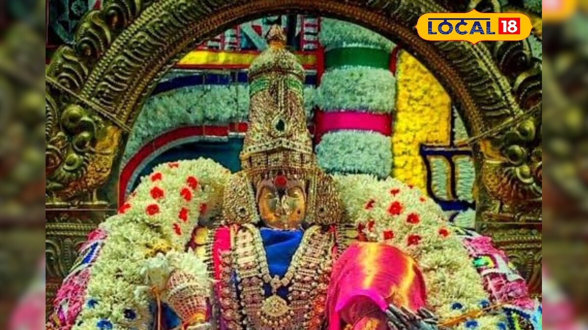 நெல்லையப்பர் கோவில் ஆடிப்பூரத் திருவிழா.. அம்மனுக்கு வளைகாப்பு விழா எப்போ தெரியுமா ? - News18 தமிழ்