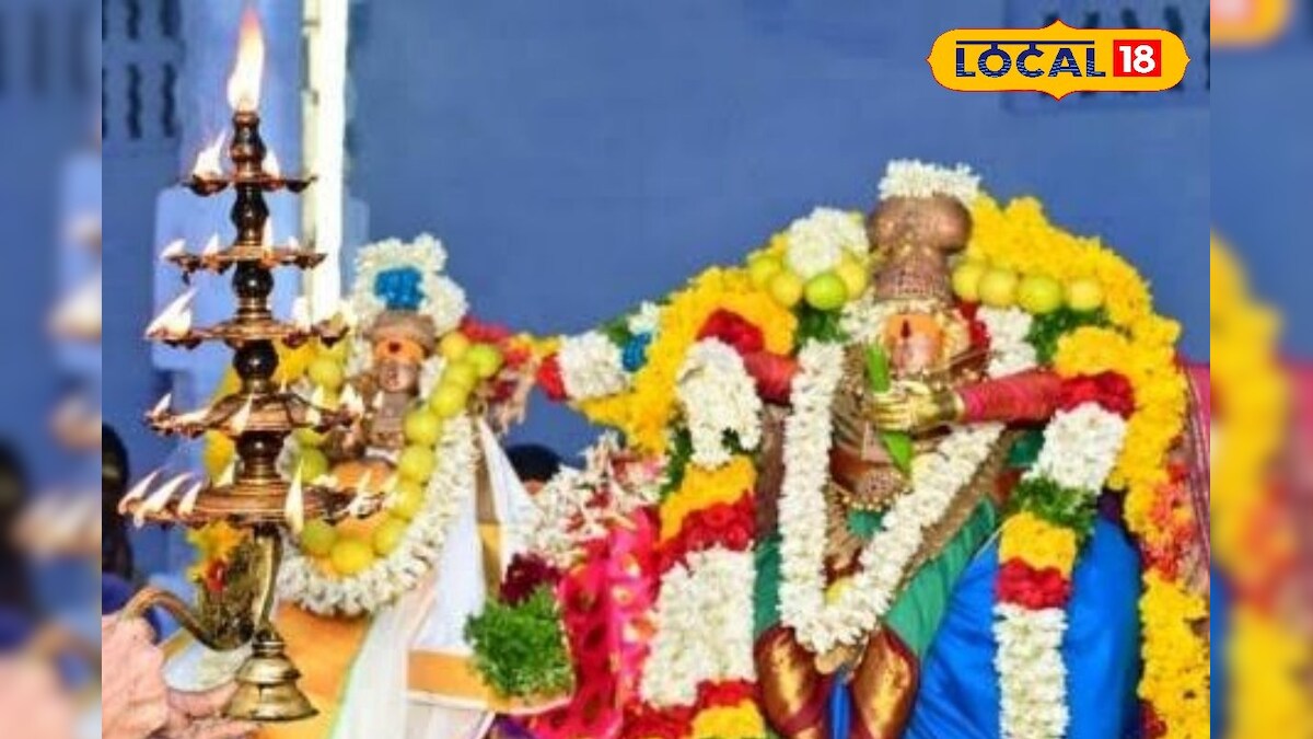 அம்பாளுக்கு சிவபெருமான் சங்கரநாராயணராக திருக்காட்சி.. ஆடித்தபசு கொண்டாடிய நெல்லை மக்கள்..!!