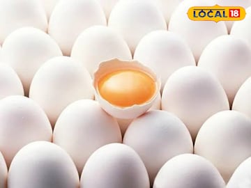 Egg Price: நாமக்கல்லில் முட்டை விலை உயர்வு... இன்றைய நிலவரம் தெரியுமா...