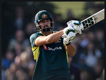 டிம் டேவிட்