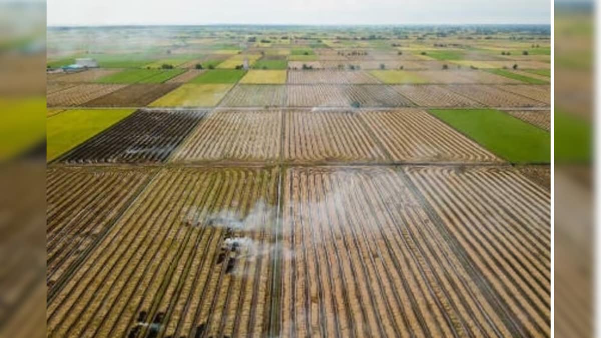 '1 கிலோ அரிசி உற்பத்திக்கு 4,000-5,000 லிட்டர் தண்ணீர் தேவை'.. பாலைவனமாக மாறும் மாநிலம்? - News18 தமிழ்