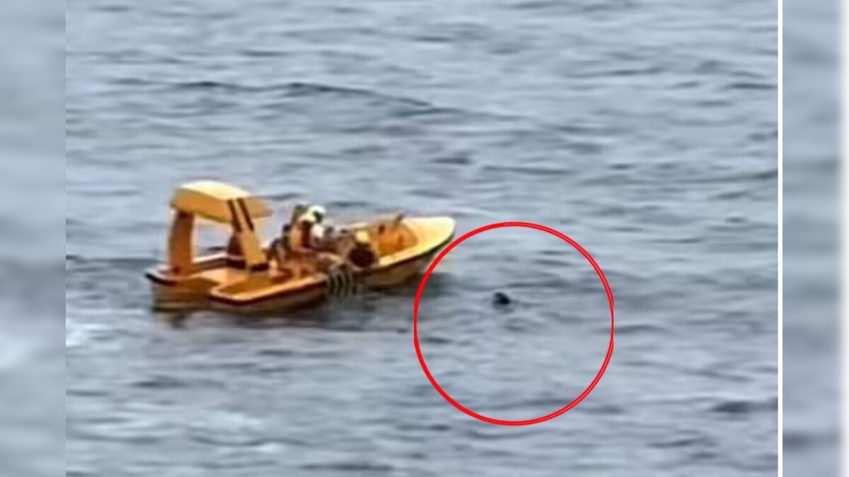 கப்பலில் 4வது தளத்தில் இருந்து கடலில் விழுந்த மகள்.. உடனே தந்தை செய்த செயல்.. வீடியோ வைரல்! - News18 தமிழ்