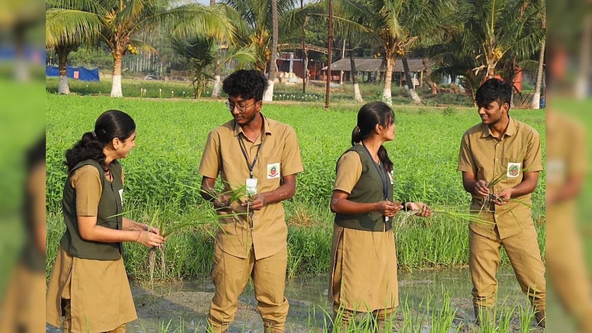 தமிழ்நாடு வேளாண் பல்கலைக்கழக கலந்தாய்வு நாளை தொடக்கம்..! - News18 தமிழ்