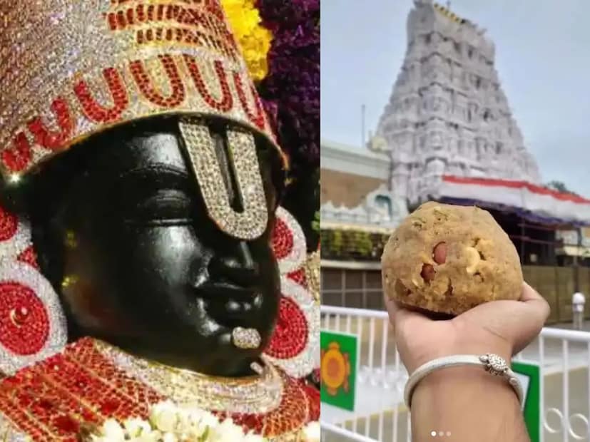  அதில், தேவஸ்தான அதிகாரிகள் 9 பேர், பால்வளத் துறை அதிகாரிகள் 5 பேர் உட்பட 36 பேர் மீது குற்றம்சாட்டப்பட்டுள்ளது. மேலும்,லட்டு தயாரிப்பதற்கு பாமாயில், பாம் கர்னல் எண்ணெய், பால்மோலின் ஆகியவை கலக்கப்பட்டது கண்டறியப்பட்டுள்ளது. மணம் மற்றும் நிறத்திற்காக பீட்டா கரோட்டின், அசிட்டிக் மற்றும் லாக்டிக் அமிலம், செயற்கை திரவியங்கள் சேர்க்கப்பட்டதும் ஆய்வில் உறுதி செய்யப்பட்டுள்ளது.