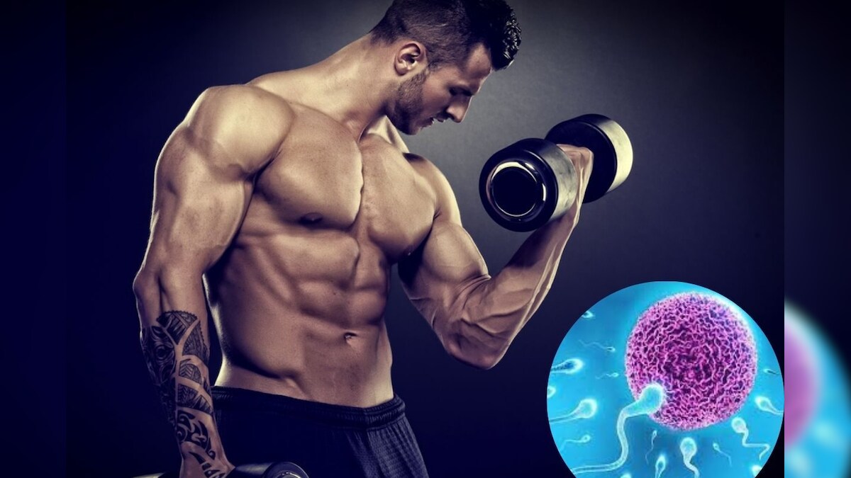 ஆண்களின் இனப்பெருக்க ஆரோக்கியத்தில் பாதிப்பை ஏற்படுத்தும் உடற்பயிற்சிகள்...எச்சரிக்கும் மருத்துவர்! 