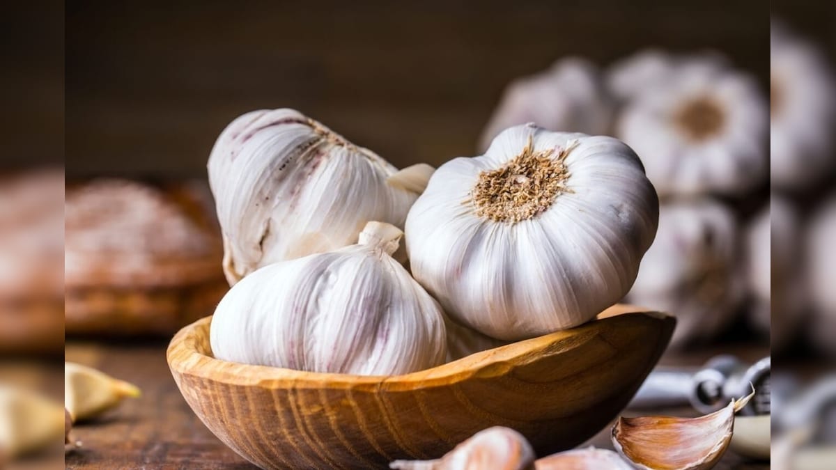 வெறும் வயிற்றில் பூண்டு சாப்பிடுவதால் ஆபத்தா..? நிபுணர்கள் கூறுவதென்ன? - News18 தமிழ்