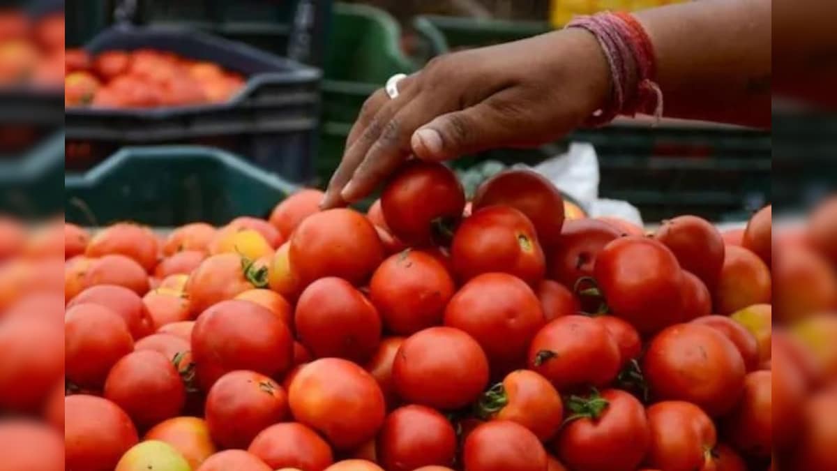 Tomato Price | தக்காளி விலை திடீர் உயர்வு.. பொதுமக்கள் அதிர்ச்சி.. ஒரு கிலோ எவ்வளவு தெரியுமா? | வணிகம் - News18 தமிழ்