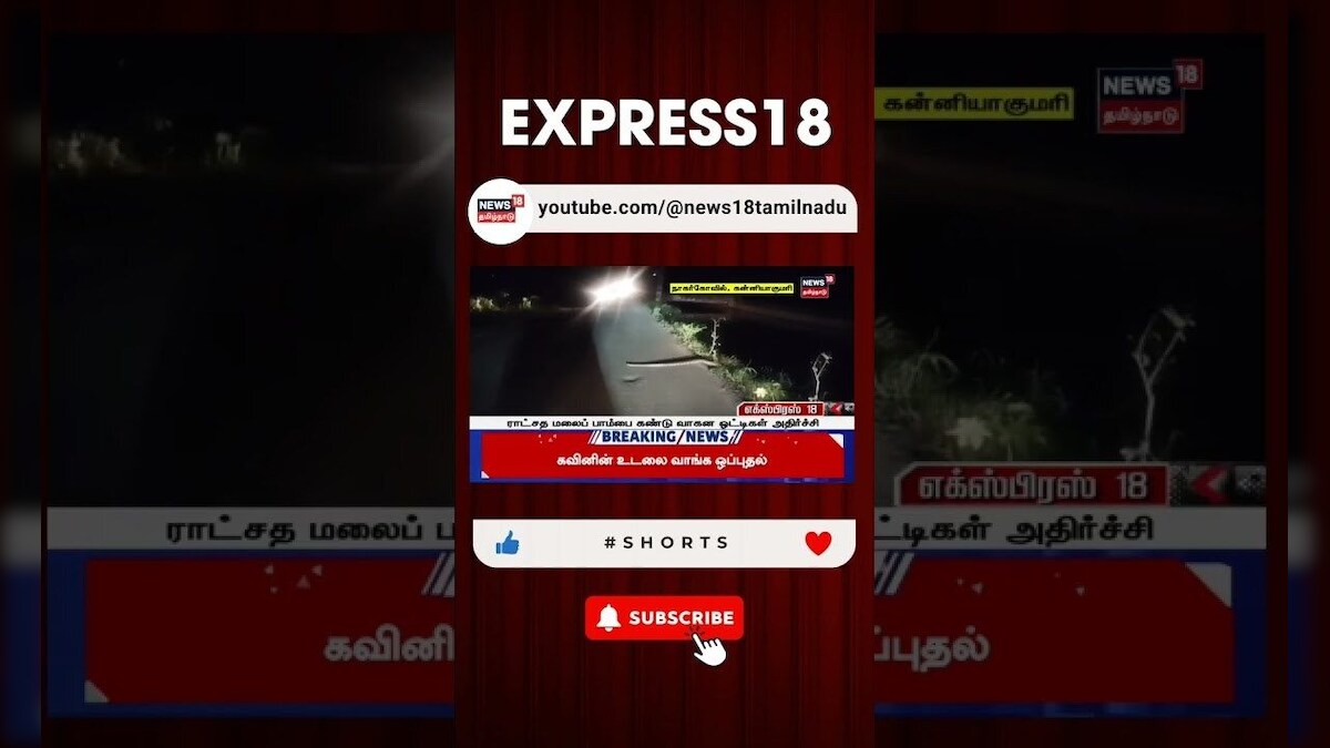 Kanyakumari | சாலையை கடந்து சென்ற ராட்சத மலைப்பாம்பு | Snake | News18 Tamil Nadu
