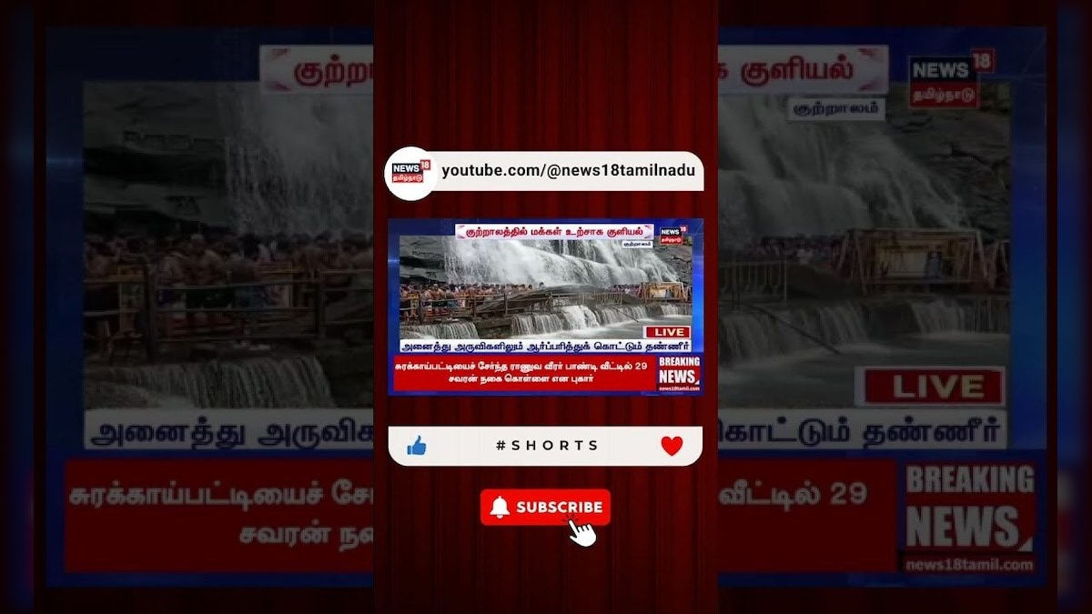 Coutrallam Falls | குற்றாலத்தில் களைகட்டி வரும் சீசன் | Tourist Place | N18S