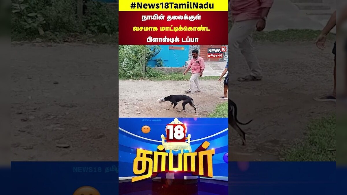 Dog Atrocity | நாயின் தலைக்குள் வசமாக மாட்டிக்கொண்ட பிளாஸ்டிக் டப்பா | Shorts | 18 Darbar | N18S
