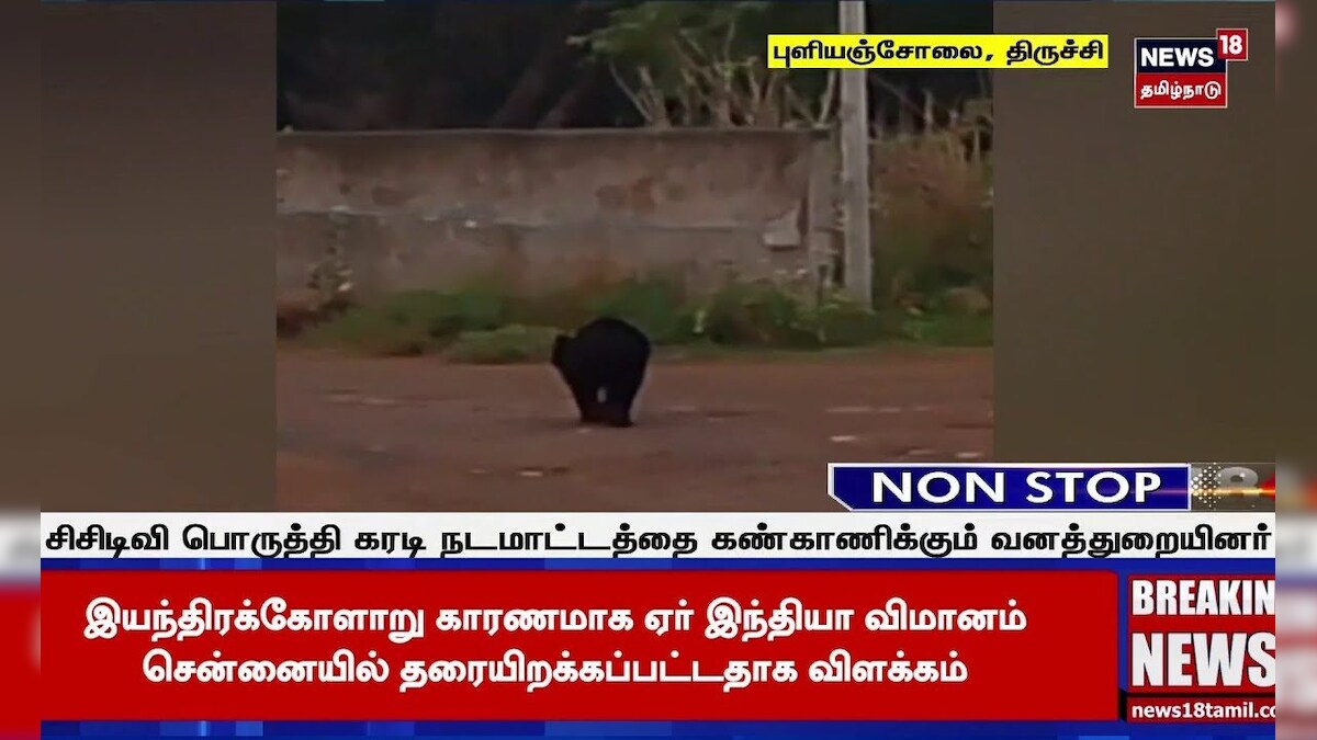 Bear Video | புளியஞ்சோலை ஆற்றில் குளிக்க தடை விதிப்பு | Animal Shorts | Viral Shorts | N18S