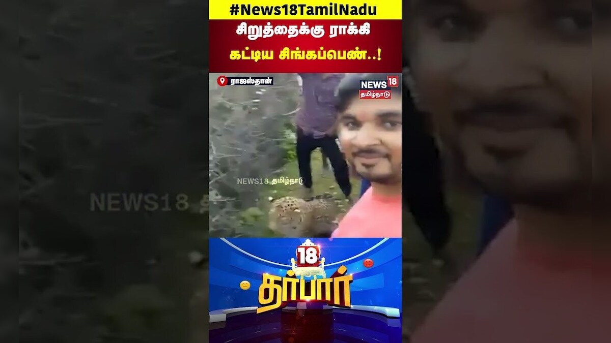 Weird Videos | சிறுத்தைக்கு ராக்கி கட்டிய சிங்கப்பெண் | Raksha Bandan | Rajasthan | 18 Darbar