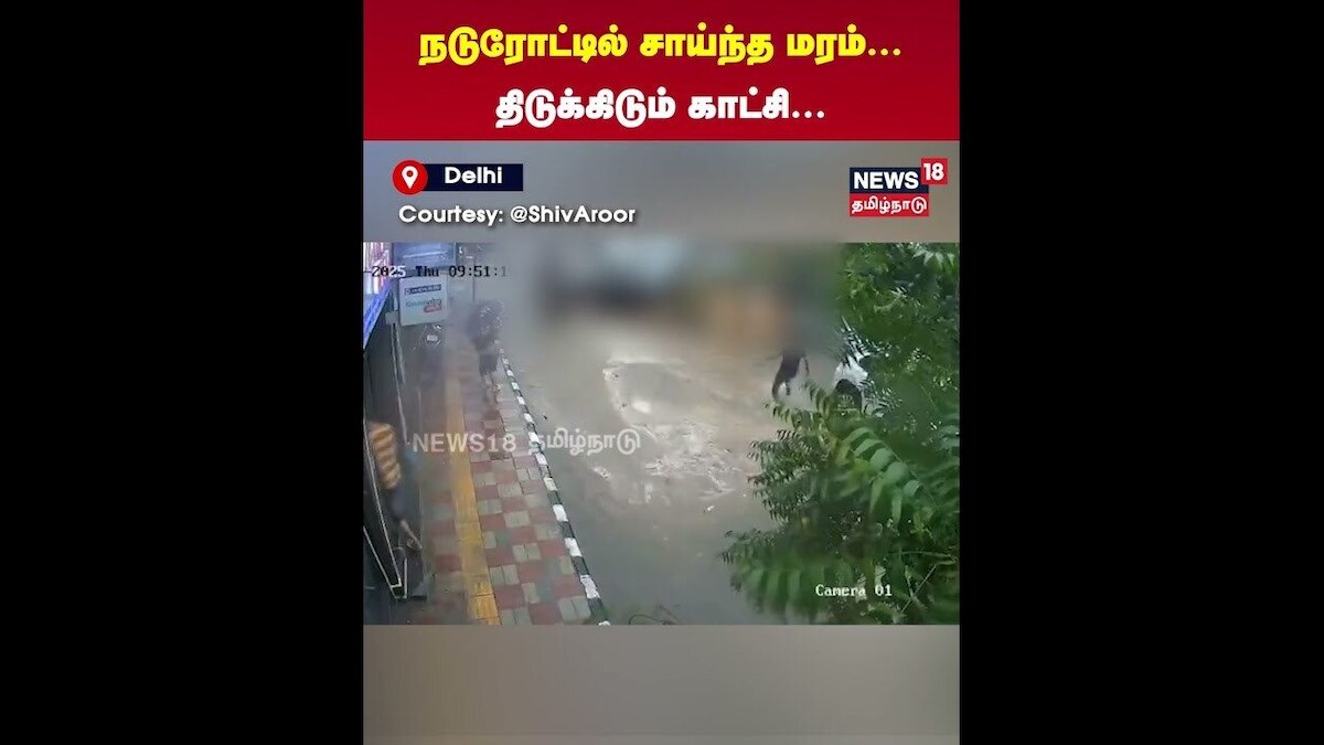 Delhi Flood Tree Fall | நடுரோட்டில் சாய்ந்த மரம்... திடுக்கிடும் காட்சி... | N18S
