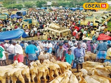 ஆடிப்பெருக்கையொட்டி களைகட்டிய ஆட்டுச் சந்தை... 1.50 கோடிக்கு ஆடு விற்பனை...