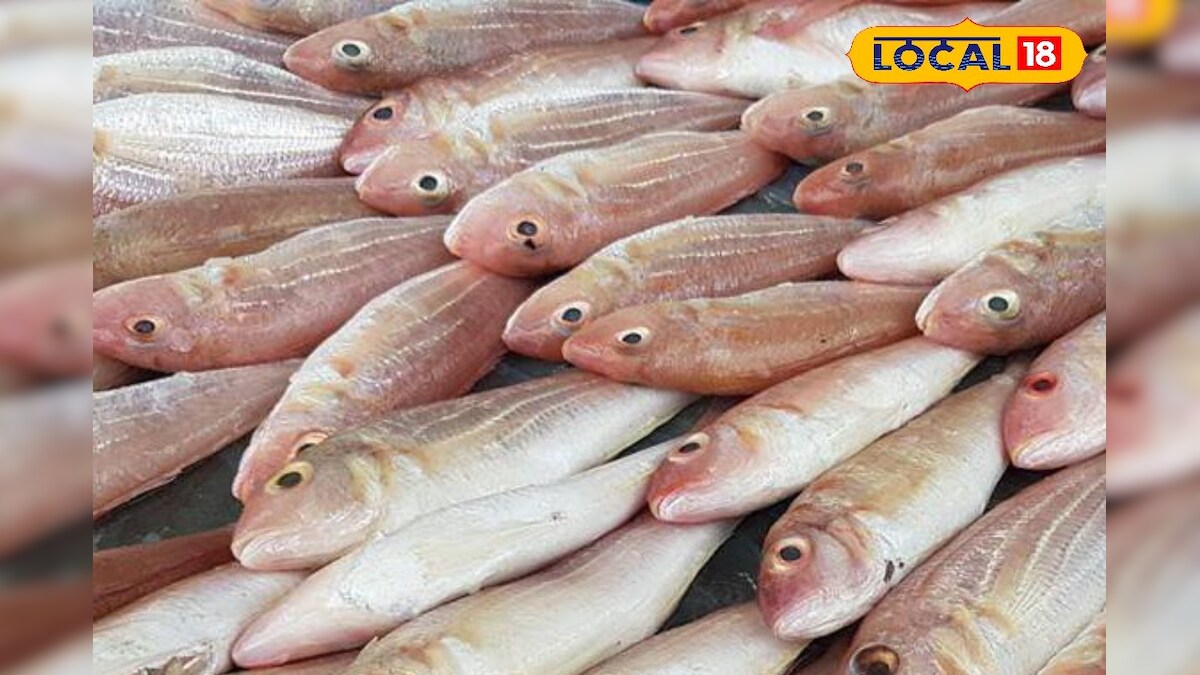 நல்ல மீன் VS கெட்டுப்போன மீன்... எப்படி பிரிச்சு பார்க்கணும் தெரியுமா ? சூப்பர் டிப்ஸ் இதோ..! | லைஃப்ஸ்டைல் - News18 தமிழ்