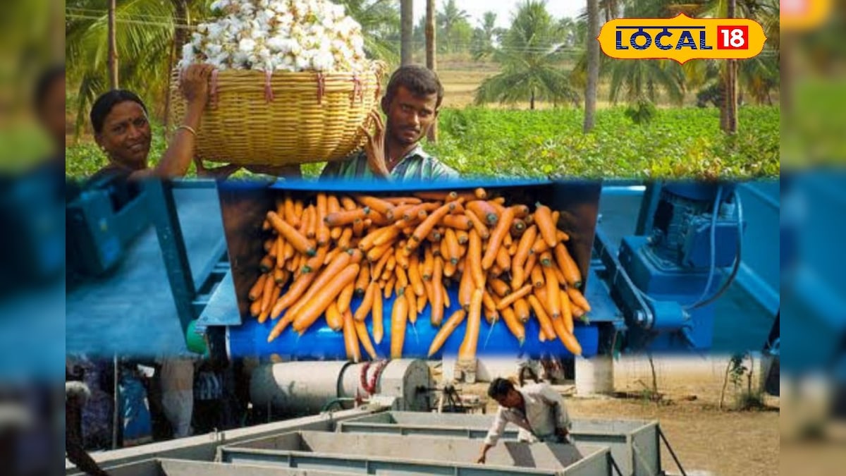 ரூ.10 லட்சம் வரை மானியம் கேரண்டி - அரசின் அசத்தல் திட்டம் பற்றி தெரியுமா.? | தமிழ்நாடு - News18 தமிழ்