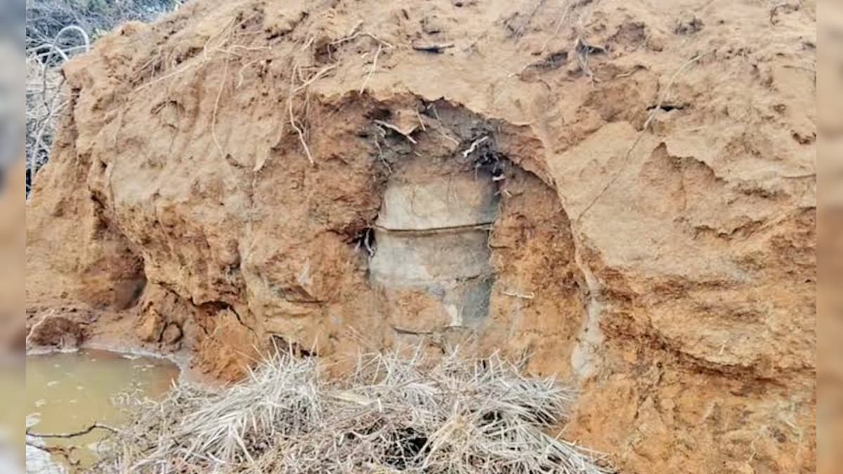 கண்டெடுக்கப்பட்ட முதுமக்கள் தாழி... இன்னொரு கீழடியாகும் புதுக்கோட்டை கிராமம்..! | புதுக்கோட்டை - News18 தமிழ்