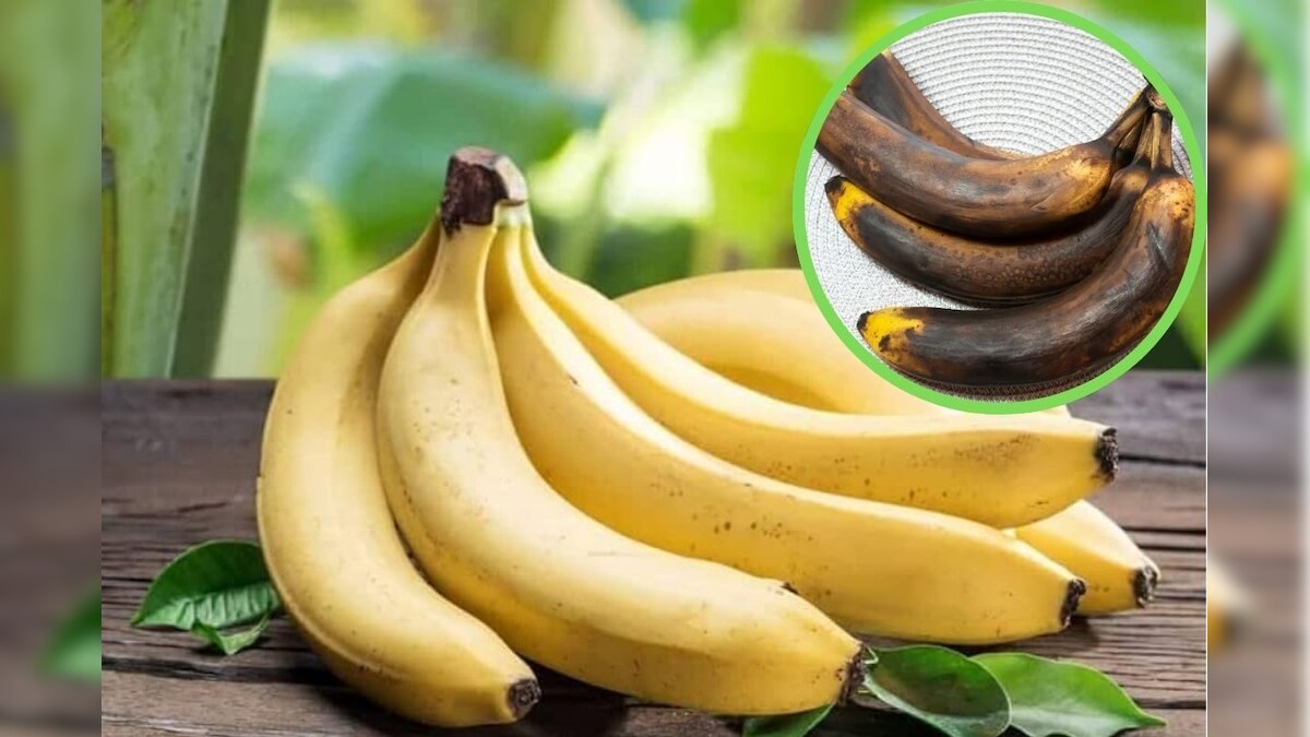 15 நாட்களுக்கு வாழைப்பழம் கெட்டுப்போகாமல் இருக்கணுமா..? அப்போ இந்த ட்ரிக்ஸ் யூஸ் பண்ணுங்க! | லைஃப்ஸ்டைல் - News18 தமிழ்