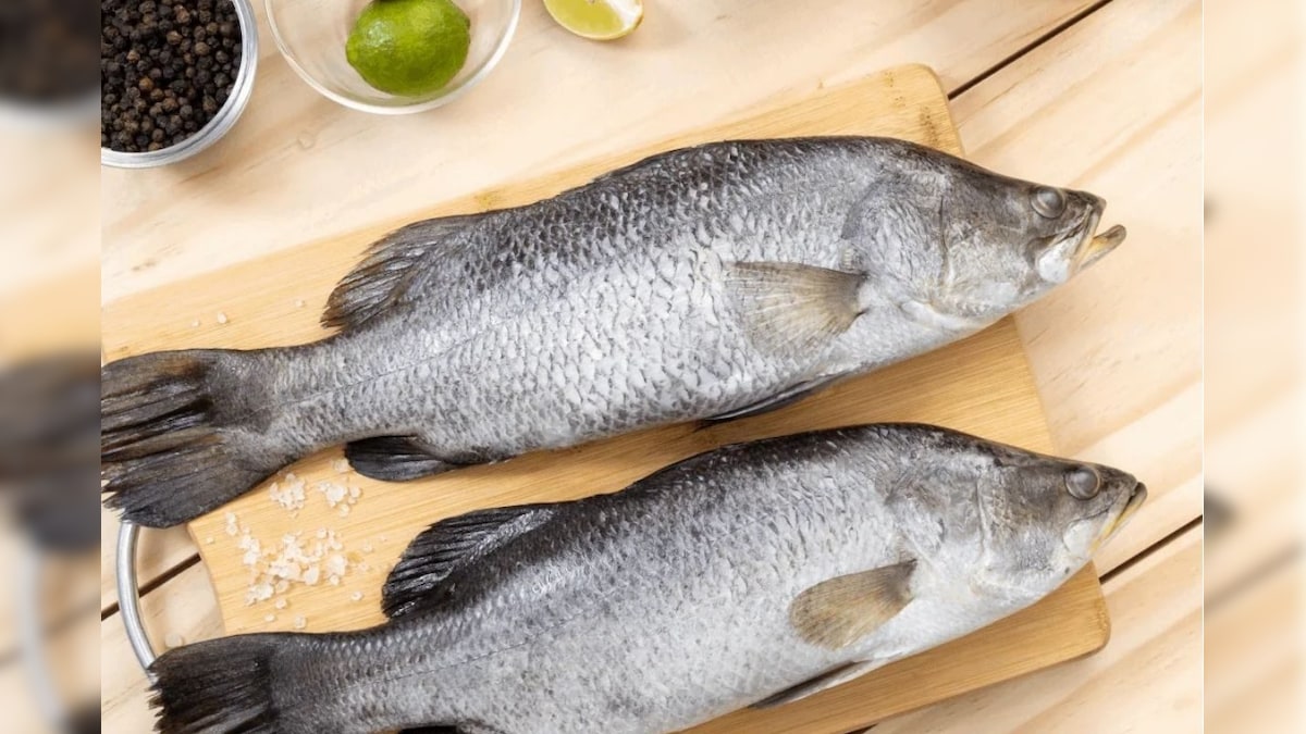 ஹார்ட் அட்டாக் அபாயத்தை குறைக்கும் மீன்.. எது தெரியுமா? | லைஃப்ஸ்டைல் - News18 தமிழ்