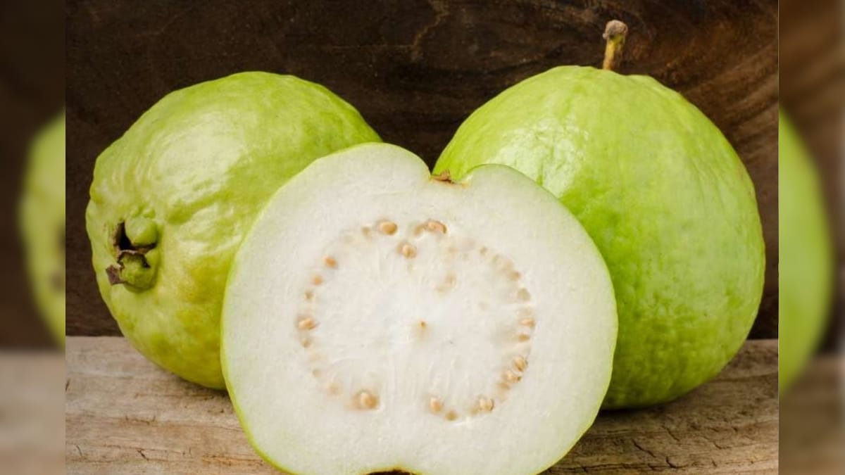 தினமும் ஒரு கொய்யா சாப்பிடுங்க.. நன்மைகள் தெரிஞ்சா விடவே மாட்டீங்க..! | லைஃப்ஸ்டைல் - News18 தமிழ்