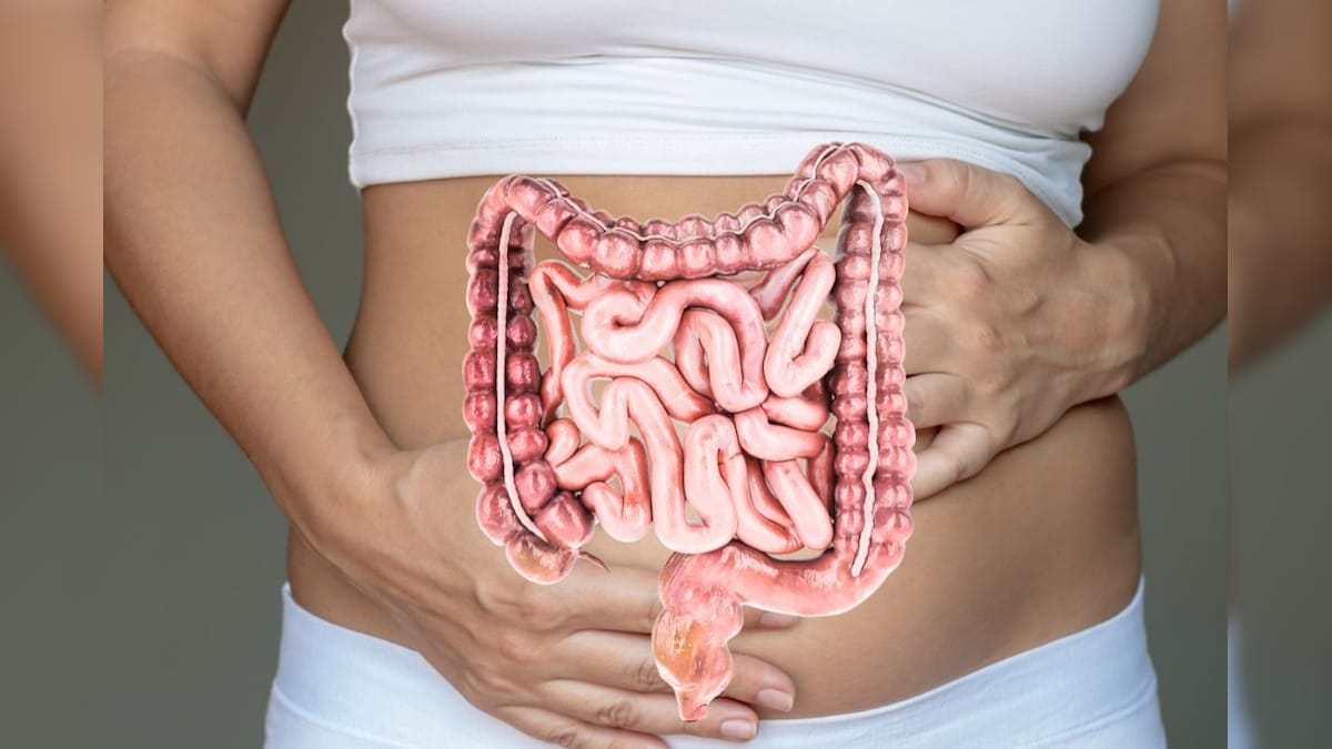 குடலை சுத்தம் செய்யும் 3 விதைகள்.. இரைப்பை நிபுணர் விளக்கம்..!  | லைஃப்ஸ்டைல் - News18 தமிழ்