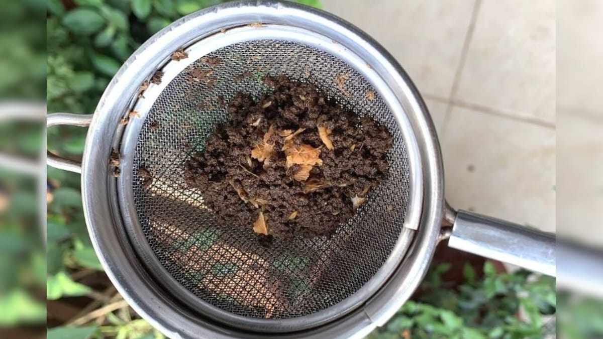 கொதிக்க வைத்த டீ தூளை தூக்கிப்போடாதீங்க... இப்படி Reuse பண்ணலாம்! | லைஃப்ஸ்டைல் - News18 தமிழ்