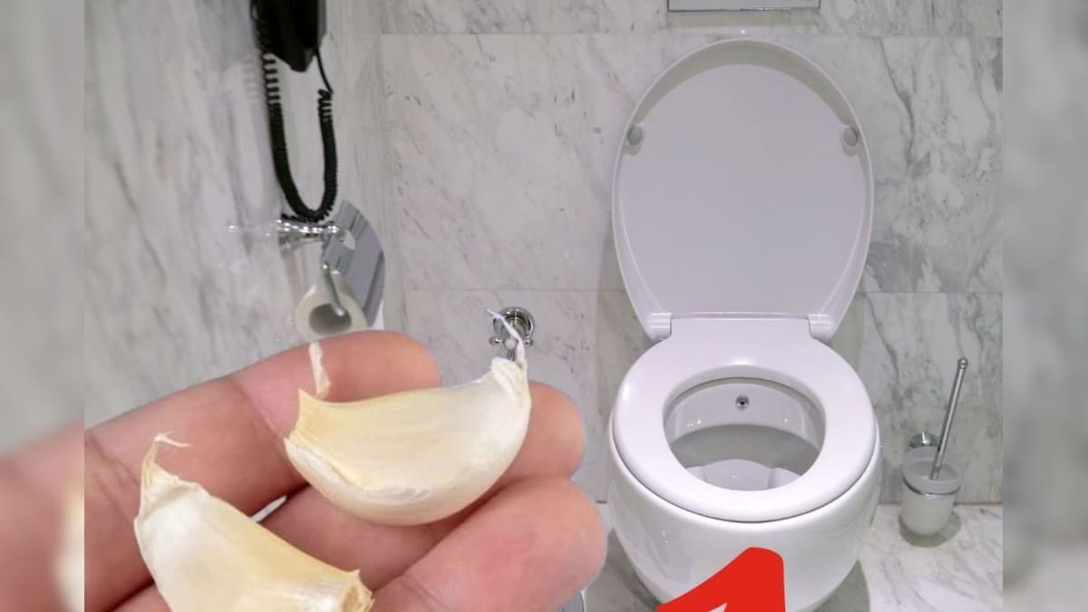 ஒரு பல் பூண்டை இரவு முழுவதும் டாய்லெட் சீட்டில் போட்டு வைத்தால் என்ன நடக்கும் தெரியுமா..? மறுநாள் காலை ஷாக் ஆயிடுவீங்க.. | லைஃப்ஸ்டைல் - News18 தமிழ்
