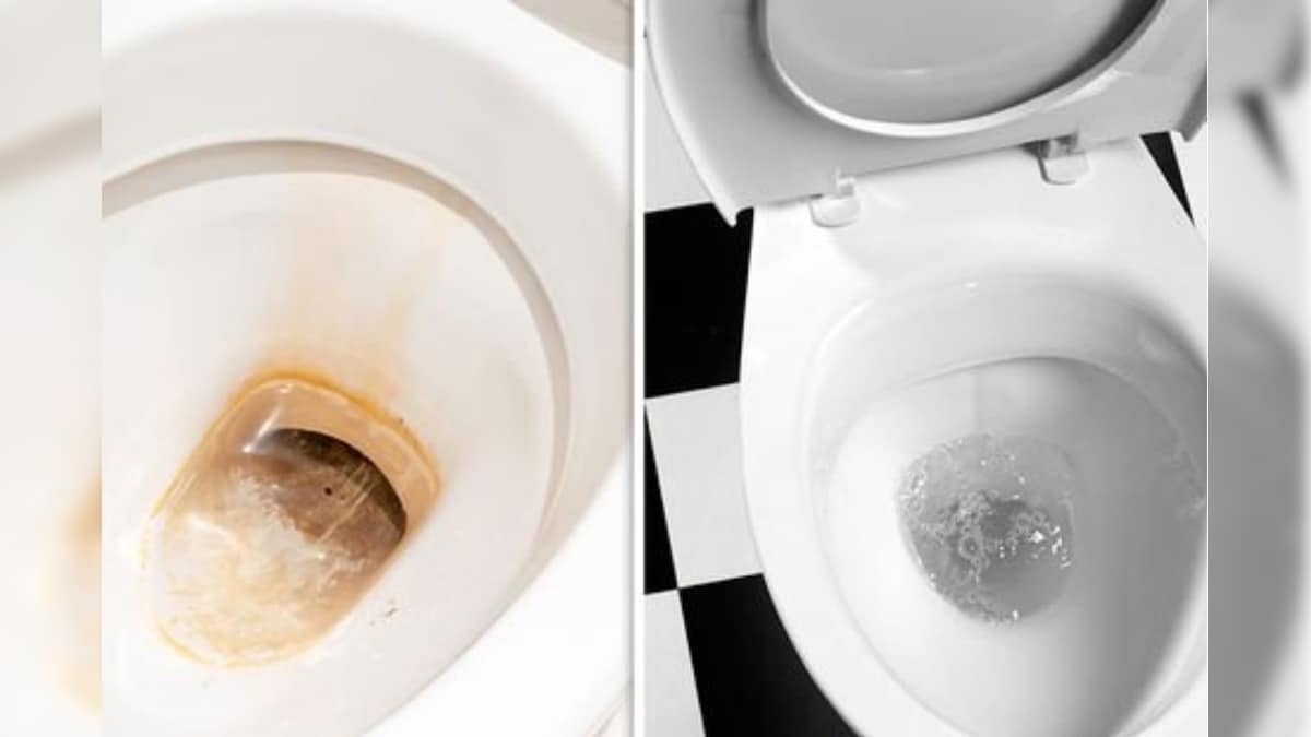 ரூ.10 போதும்.. உங்க டாய்லெட் ஷீட் புதுசு போல மின்னும்! | லைஃப்ஸ்டைல் - News18 தமிழ்