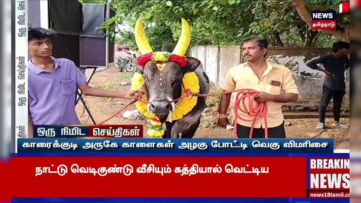 Cow Fashion Show | காரைக்குடி அருகே காளைகள் அழகு போட்டி வெகு விமரிசை | N18S