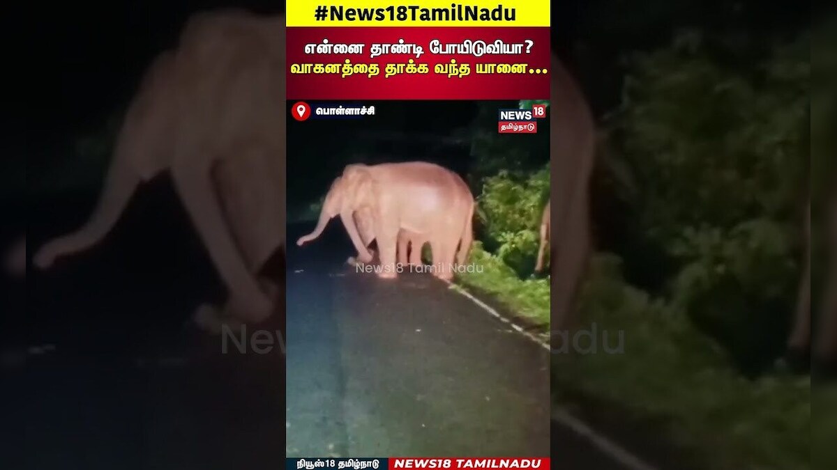 Pollachi Elephant | என்னை தாண்டி போயிடுவியா? வாகனத்தை தாக்க வந்த யானை...| N18S