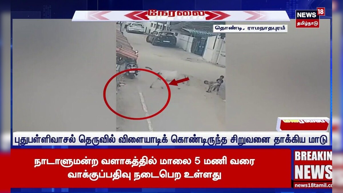 Ramanathapuram | கண் இமைக்கும் நேரத்தில் சிறுவனை முட்டி தூக்கிய மாடு | News18 Tamil Nadu