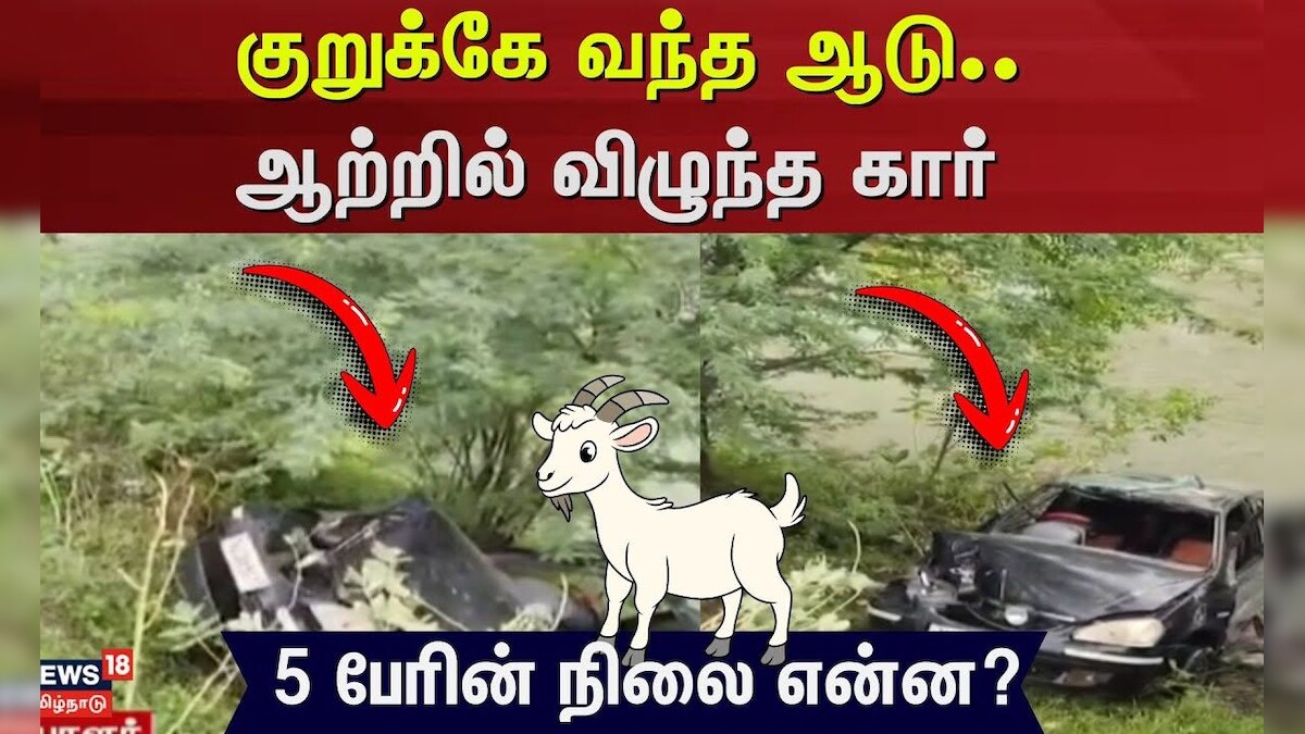 Tiruvarur | குறுக்கே வந்த ஆடு.. ஆற்றில் விழுந்த கார் - 5 பேரின் நிலை என்ன? | News18 Tamil Nadu | தமிழ்நாடு - News18 தமிழ்