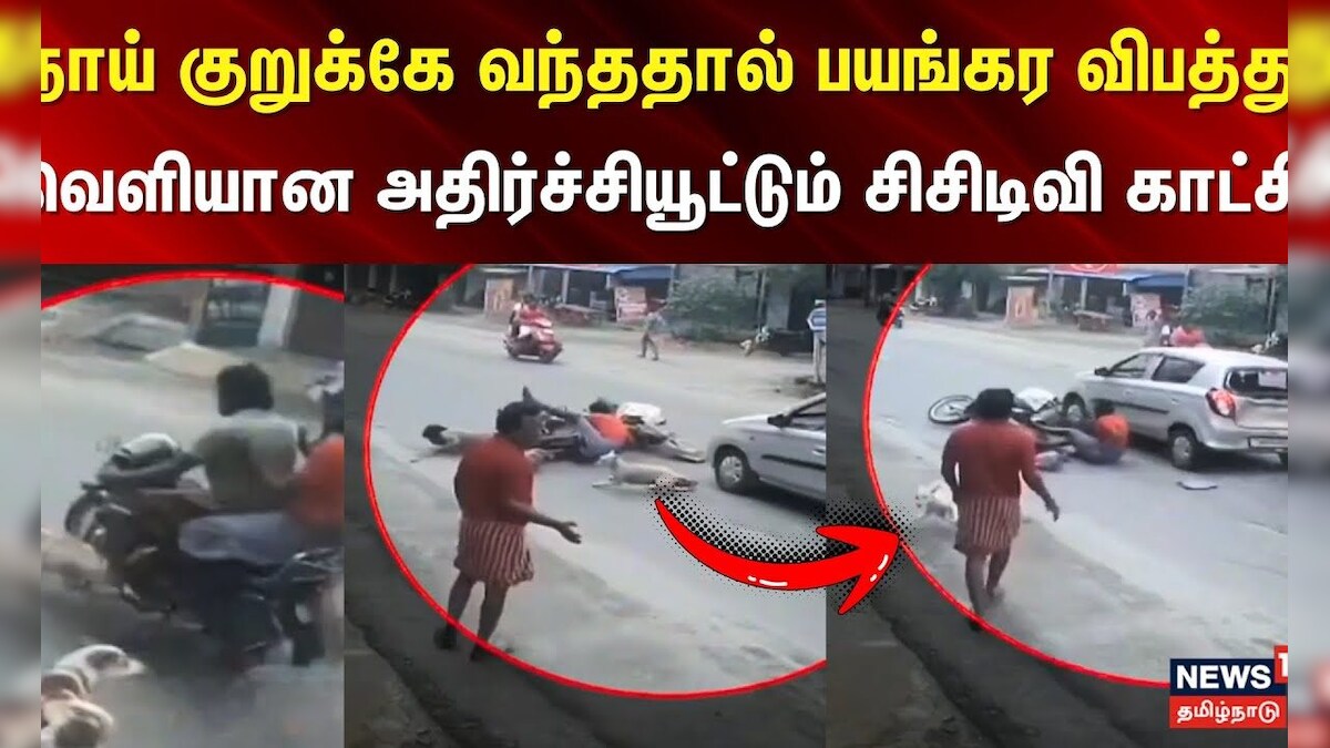 Bike Accident | நாய் குறுக்கே வந்ததால் பயங்கர விபத்து - வெளியான அதிர்ச்சியூட்டும் சிசிடிவி காட்சி | தமிழ்நாடு - News18 தமிழ்