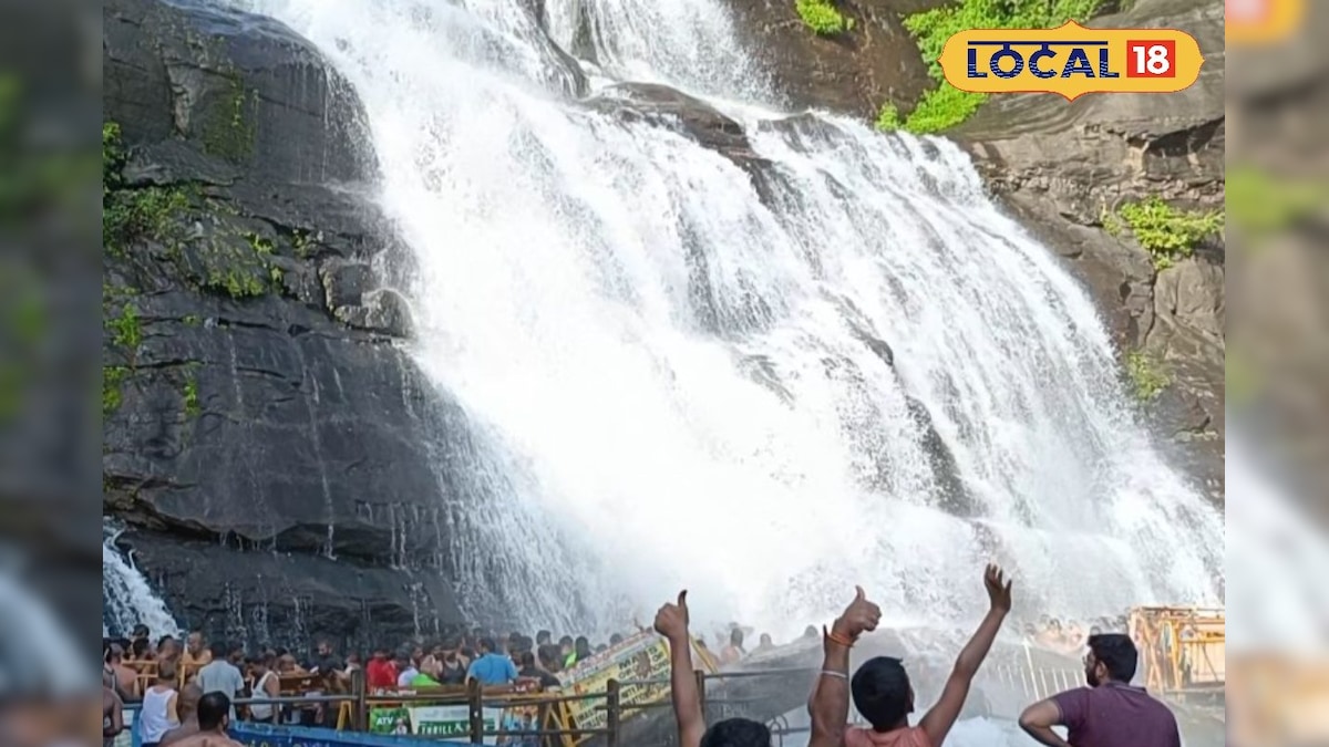 2 நாட்களுக்கு பின் வந்த குட் நியூஸ்... குற்றாலத்தில் மீண்டும் குளிக்க அனுமதி..! | தென்காசி - News18 தமிழ்