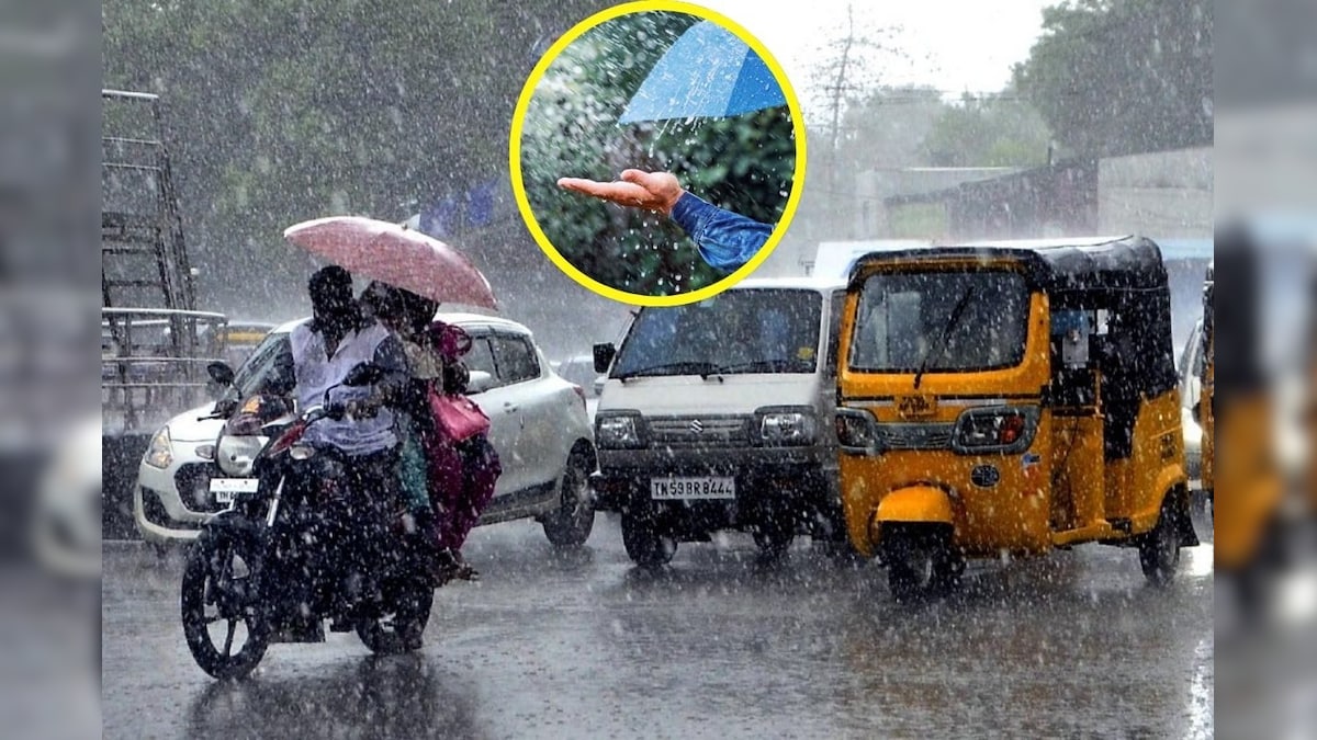 Rain Alert | இன்று 9 மாவட்டங்களில் கனமழை பெய்யலாம்.. வானிலை மையம் முக்கிய அப்டேட்..! | தமிழ்நாடு - News18 தமிழ்