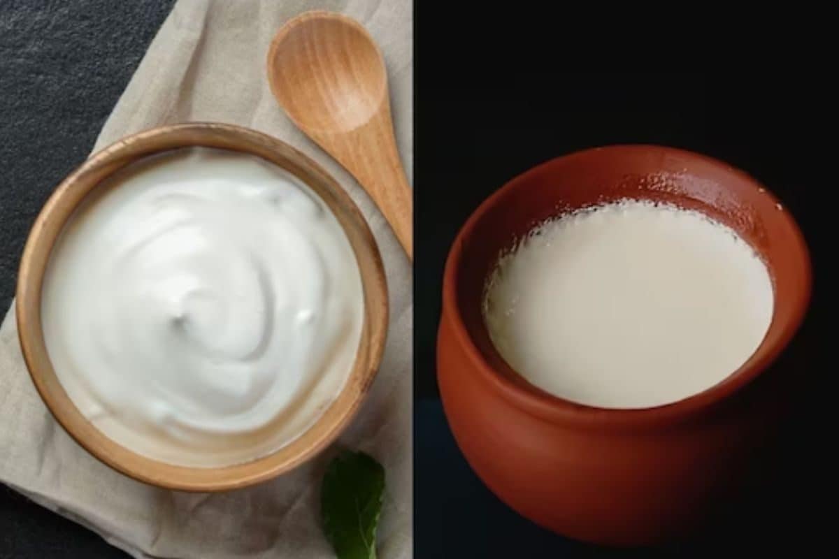 Curd and yogurt: understanding the differences in preparation and ...
