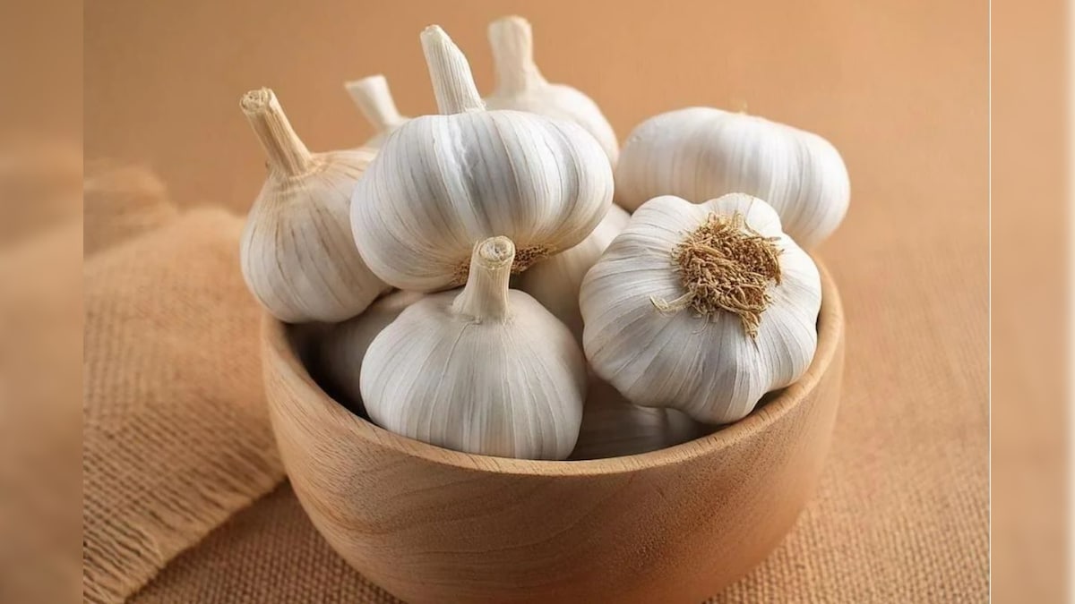 10 நாட்களில் எடையை குறைக்க வேண்டுமா..? பூண்டுடன் இத மட்டும் சேர்த்து சாப்பிடுங்க! | லைஃப்ஸ்டைல் - News18 தமிழ்