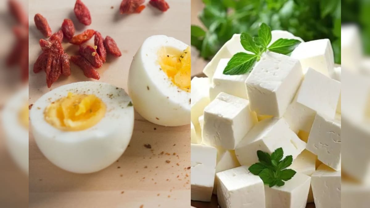 ஒரு கப் வேகவைத்த முட்டை vs ஒரு கப் பனீர்.. புரோட்டீனுக்கு எது பெஸ்ட்..? | லைஃப்ஸ்டைல் - News18 தமிழ்