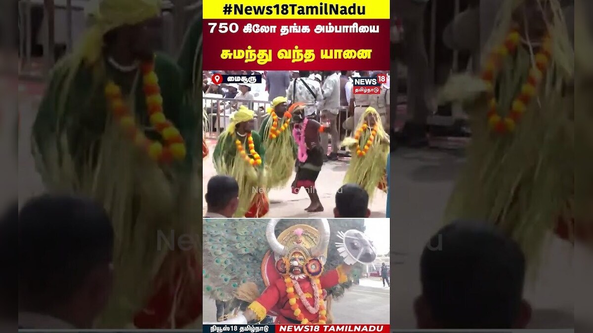 Dusshera Festival  | 750 கிலோ தங்க அம்பாரியை சுமந்து வந்த யானை! | N18S