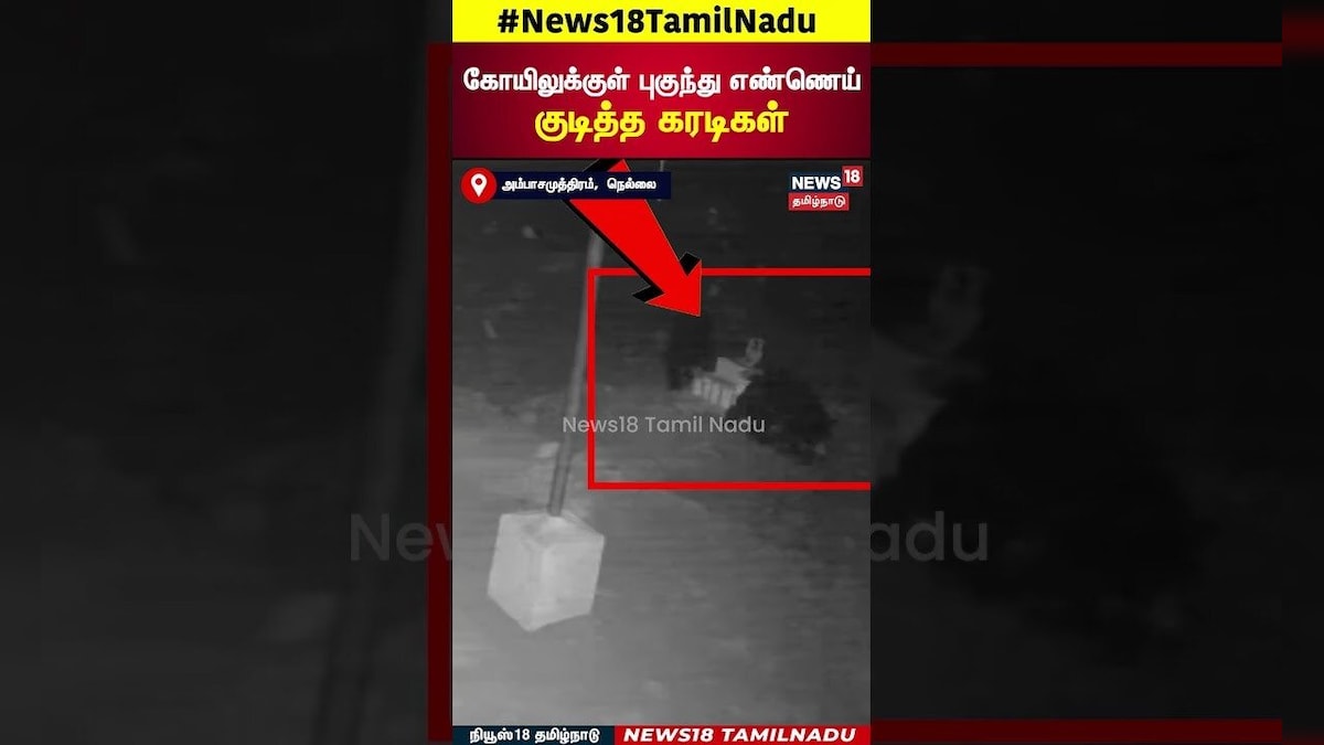 Bear in Temple | கோயிலுக்குள் புகுந்து எண்ணெய் குடித்த கரடிகள் | N18S