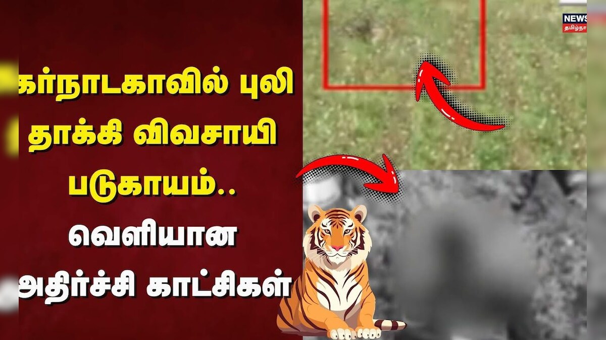 Karnataka | Tiger Attack | கர்நாடகாவில் புலி தாக்கி விவசாயி படுகாயம் - வெளியான அதிர்ச்சி காட்சிகள் | தமிழ்நாடு - News18 தமிழ்