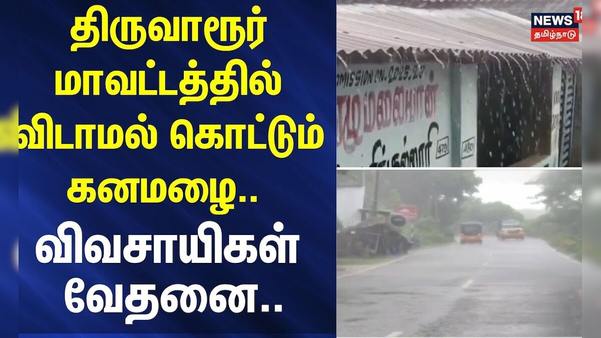 Tiruvarur Heavy Rain | திருவாரூர் மாவட்டத்தில் விடாமல் கொட்டும் கனமழை.. - விவசாயிகள் வேதனை.. | தமிழ்நாடு - News18 தமிழ்