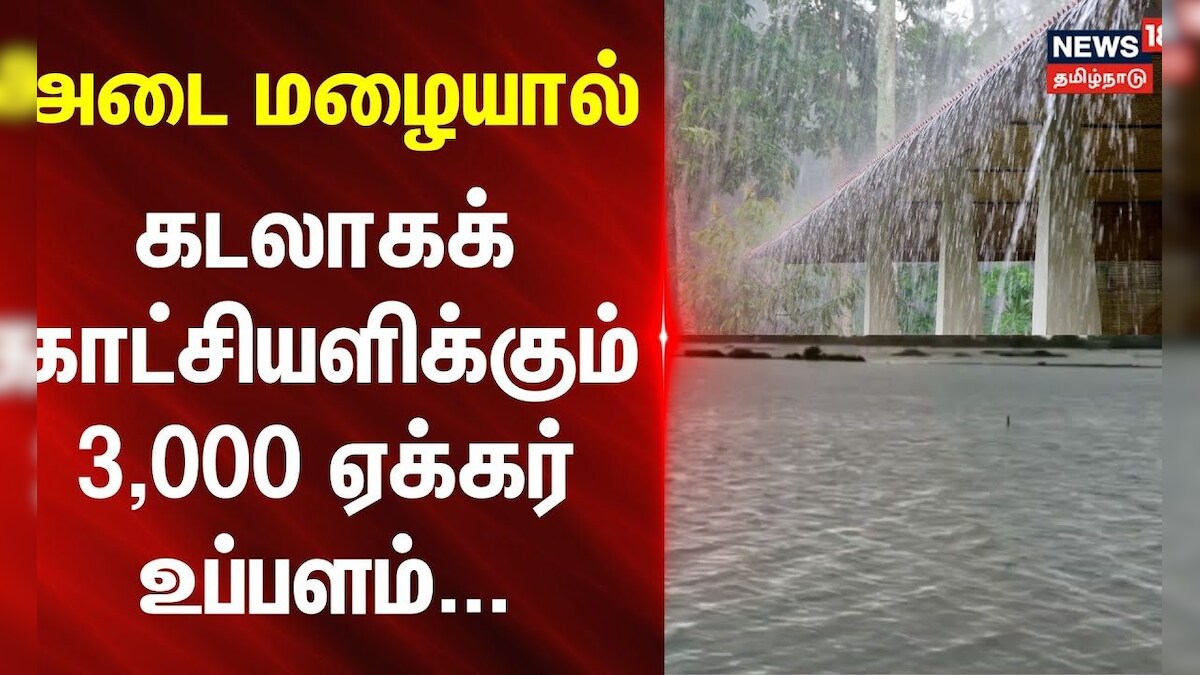 Villupuram | Rain | அடை மழையால் கடலாகக் காட்சியளிக்கும் 3,000 ஏக்கர் உப்பளம் | Salt Evaporation Pond | தமிழ்நாடு - News18 தமிழ்