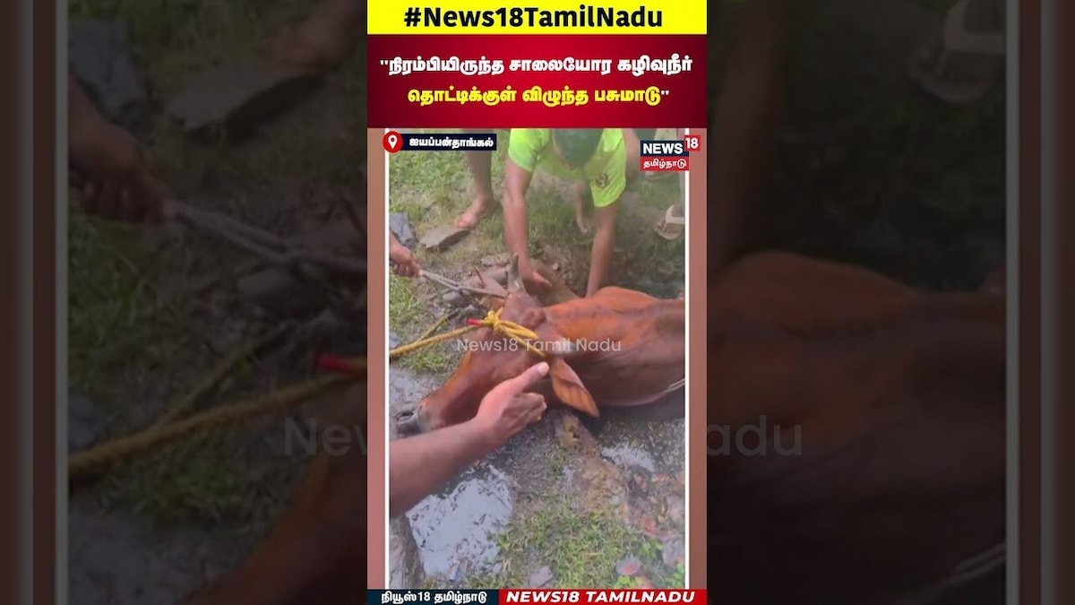 Cow Stuck Inside Ditch | நிரம்பியிருந்த சாலையோர கழிவுநீர் தொட்டிக்குள் விழுந்த பசுமாடு | N18S