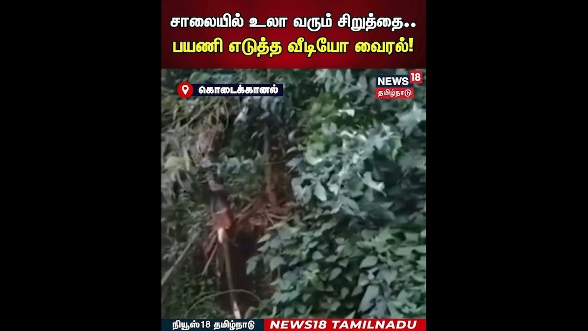 Cheetah Viral Video | சாலையில் உலா வரும் சிறுத்தை..பயணி எடுத்த வீடியோ வைரல்! | N18S